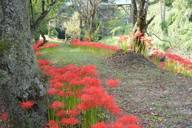 不破関跡へのレッツなシニアさんのレビュー写真