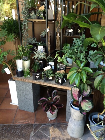 TAKANASI flower decoration 島店へのmelimeroさんのレビュー写真