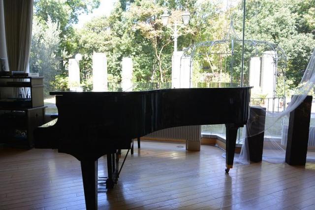 レストラン杏 岐阜県図書館店へのレッツなシニアさんのレビュー写真