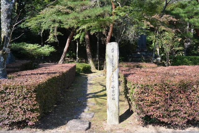 小倉公園へのレッツなシニアさんのレビュー写真