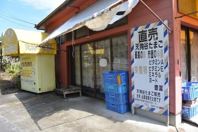 天狗谷たまご販売のレポート写真5（レッツなシニア）