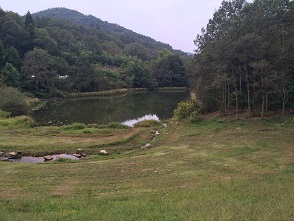 各務野自然遺産の森へのマロンさんのレビュー写真
