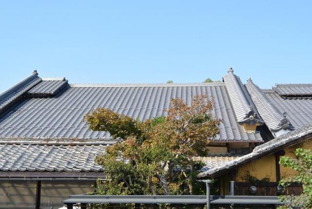 そば切り まる伍へのレッツなシニアさんのレビュー写真