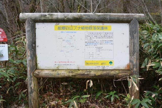 能郷白山へのレッツなシニアさんのレビュー写真