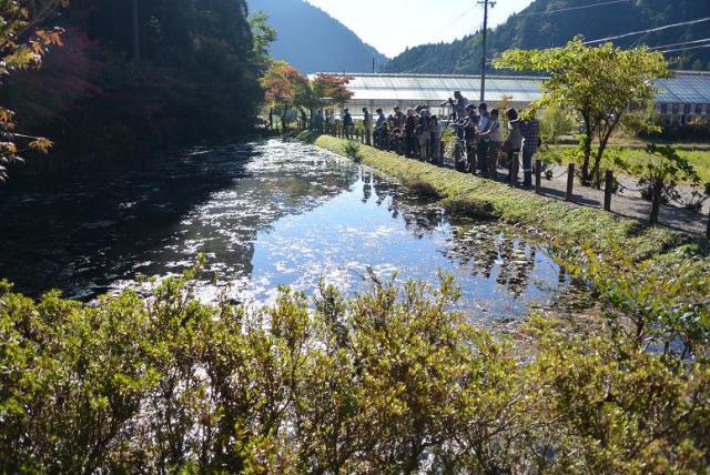 根道神社へのレッツなシニアさんのレビュー写真