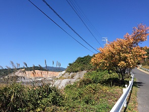 金生山へのマロンさんのレビュー写真