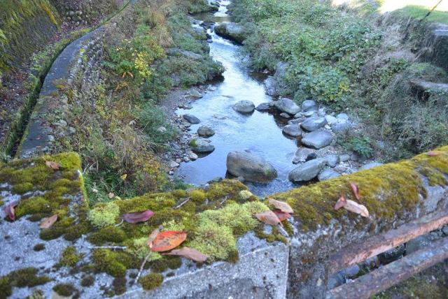 粥川うなぎ生息地へのレッツなシニアさんのレビュー写真