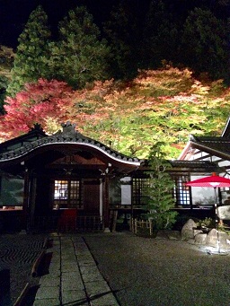 温泉寺へのマロンさんのレビュー写真
