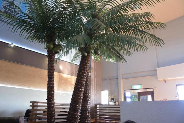 YAZAWA2へのレッツなシニアさんのレビュー写真