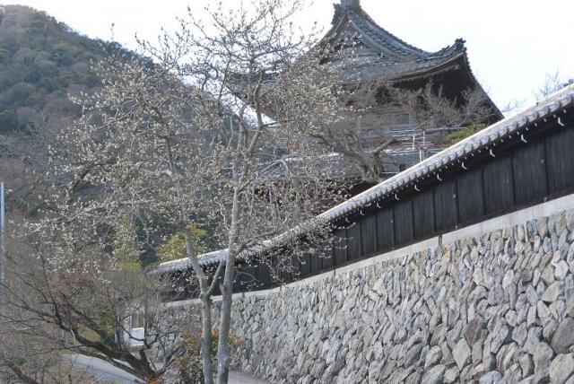 行基寺へのレッツなシニアさんのレビュー写真