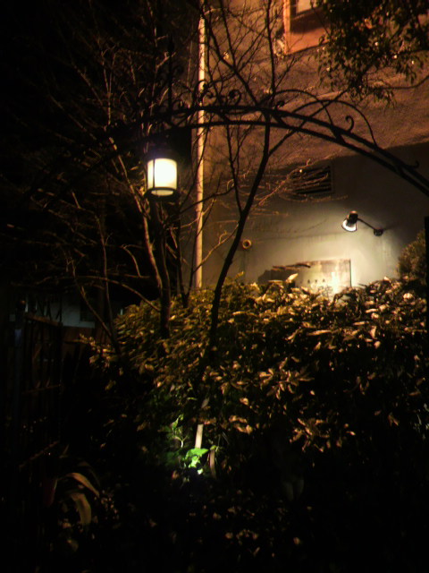 壁の壁 岐阜店へのポニョさんのレビュー写真