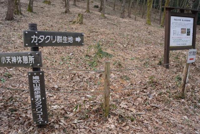 可児川下流域自然公園 可児 カタクリ群生地へのレッツなシニアさんのレビュー写真