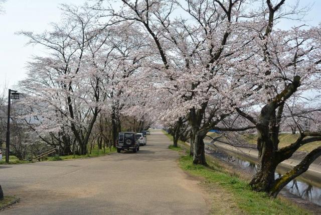 三井山へのレッツなシニアさんのレビュー写真