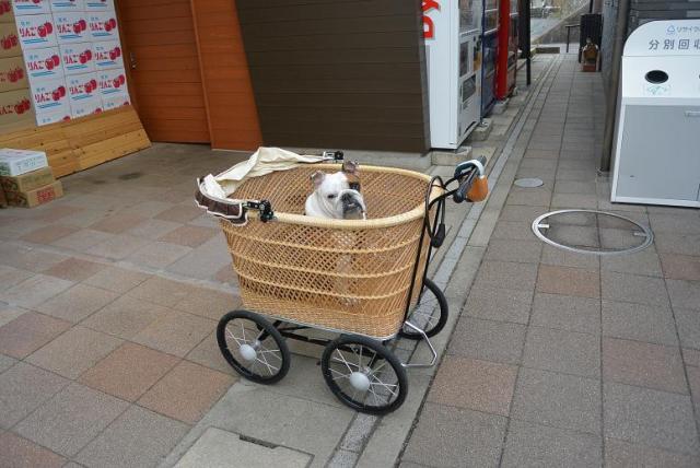 道の駅 可児ッテへのレッツなシニアさんのレビュー写真