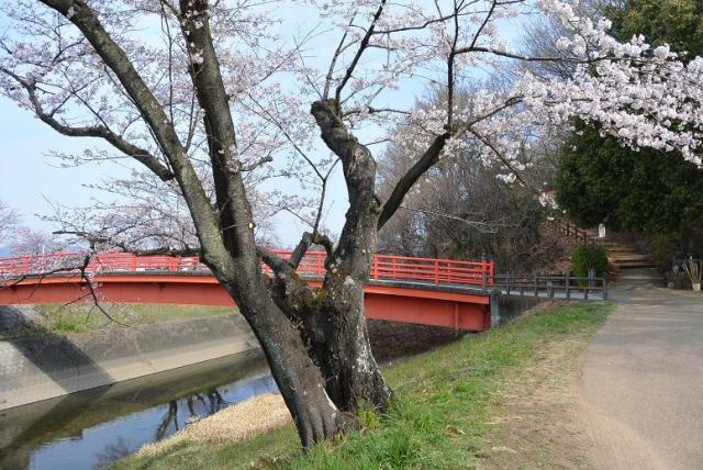 三井山へのレッツなシニアさんのレビュー写真