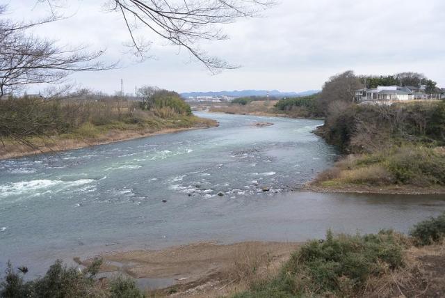 産直販売 湯の華市場へのレッツなシニアさんのレビュー写真