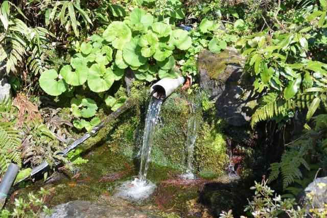 御姥様の水へのレッツなシニアさんのレビュー写真