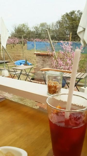 農園カフェyamakiへのめるさんのレビュー写真