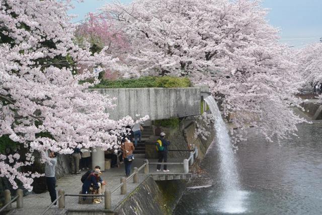 奥の細道むすびの地へのレッツなシニアさんのレビュー写真