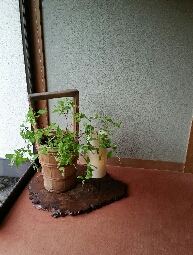 後楽荘へのにしこさんのレビュー写真
