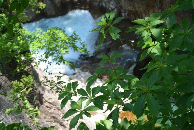 川浦渓谷へのレッツなシニアさんのレビュー写真