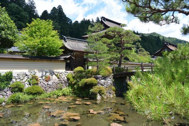 禅昌寺のレポート写真1（レッツなシニア）
