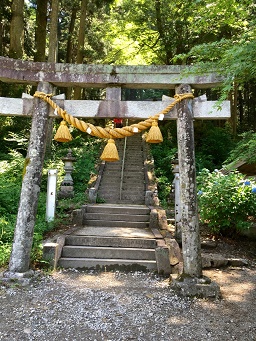 根道神社のレポート写真1（マロン）