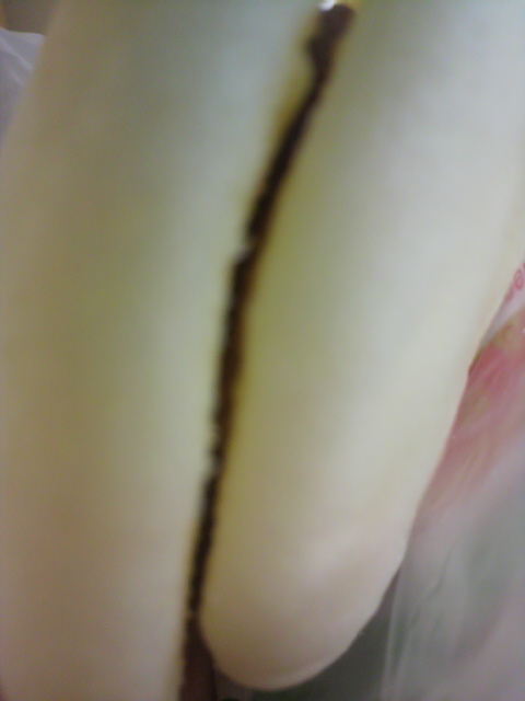 御菓子司 胡蝶庵へのポニョさんのレビュー写真