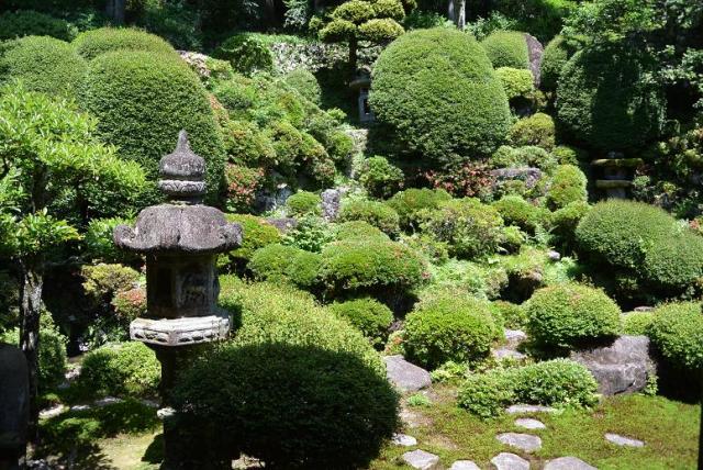 禅昌寺のレポート写真3（レッツなシニア）