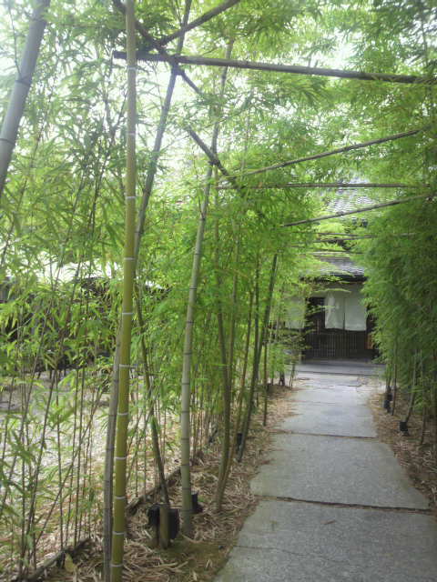 飛騨牛 グリルばくろへのポニョさんのレビュー写真