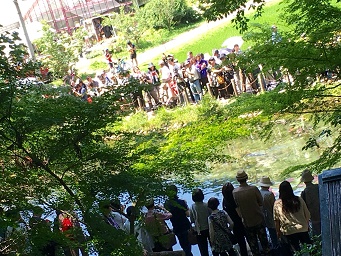 根道神社のレポート写真5（マロン）