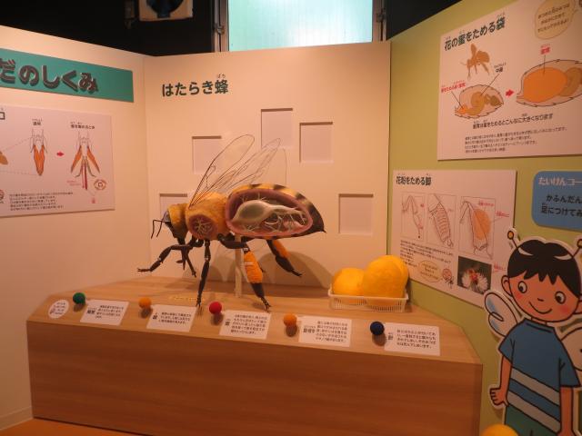 ミツバチの家へのALTEZZAさんのレビュー写真