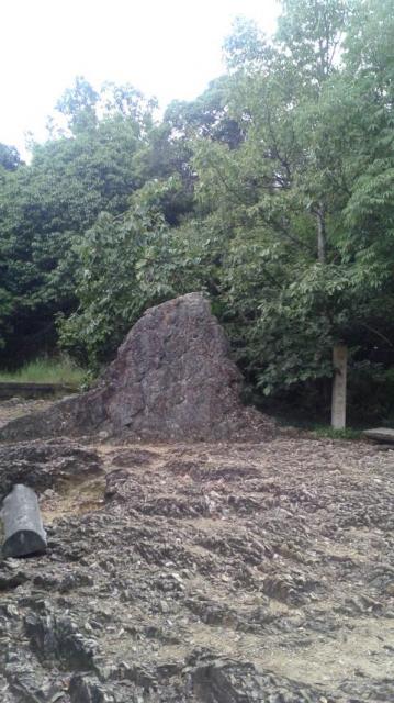 丸山へのポニョさんのレビュー写真