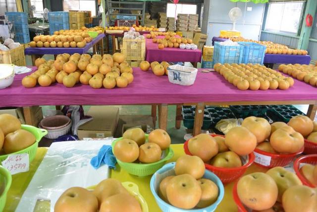 さこう農園直売所へのレッツなシニアさんのレビュー写真