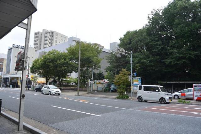 金公園へのレッツなシニアさんのレビュー写真