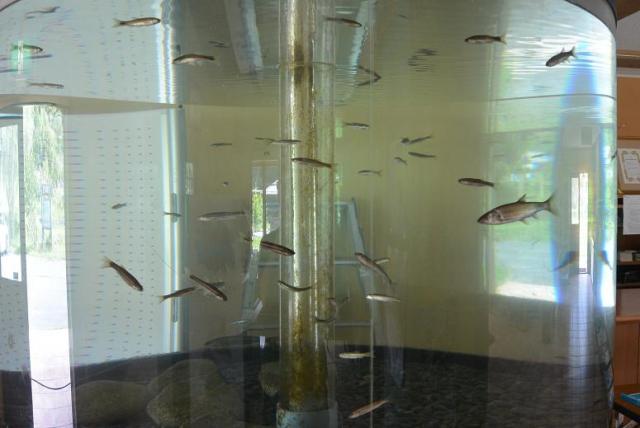 水辺の館へのレッツなシニアさんのレビュー写真