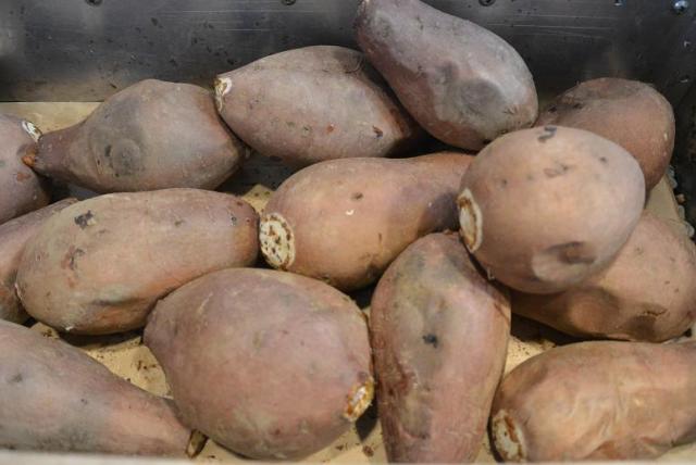 焼き芋 ふるたへのレッツなシニアさんのレビュー写真