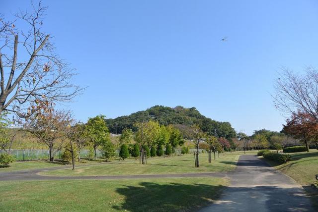 矢熊山 前渡不動・承久の乱供養塔へのレッツなシニアさんのレビュー写真