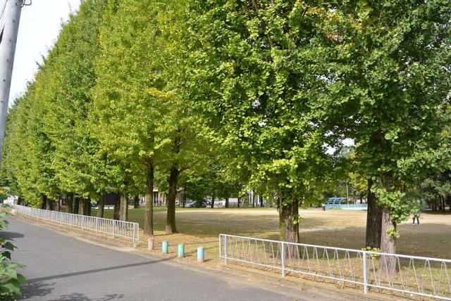 雄日ケ丘公園へのレッツなシニアさんのレビュー写真