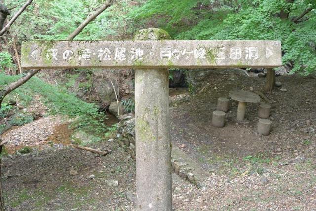 百々ヶ峰へのレッツなシニアさんのレビュー写真