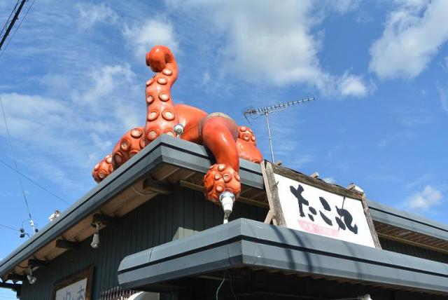 たこ丸へのレッツなシニアさんのレビュー写真