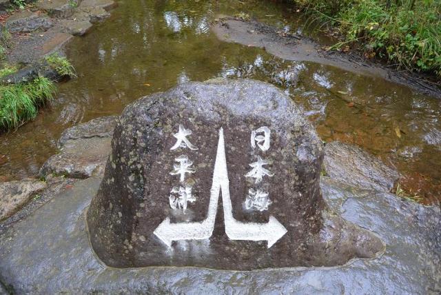 ひるがの分水嶺公園へのレッツなシニアさんのレビュー写真