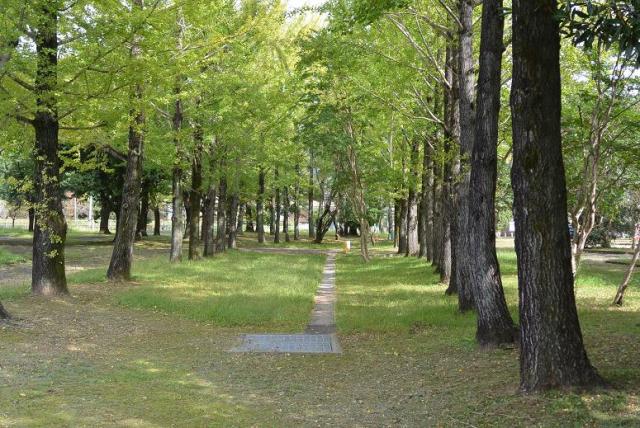 雄日ケ丘公園へのレッツなシニアさんのレビュー写真