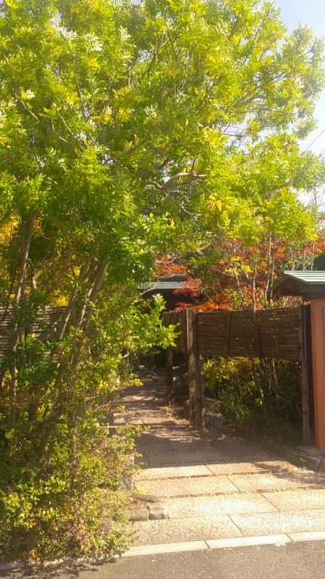 ろく条 ときわへのポニョさんのレビュー写真