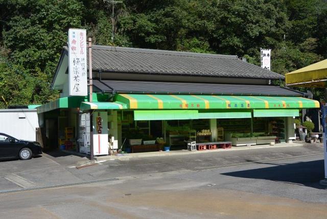 極楽茶屋のレポート写真5（レッツなシニア）