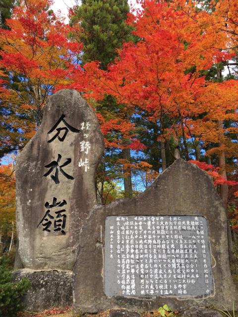 ひるがの分水嶺公園へのマロンさんのレビュー写真