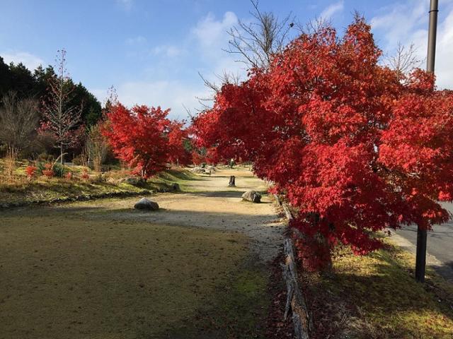 串原の七つの滝への瀬戸の人さんのレビュー写真