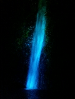 養老の滝へのにしこさんのレビュー写真