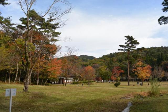 各務野自然遺産の森へのレッツなシニアさんのレビュー写真