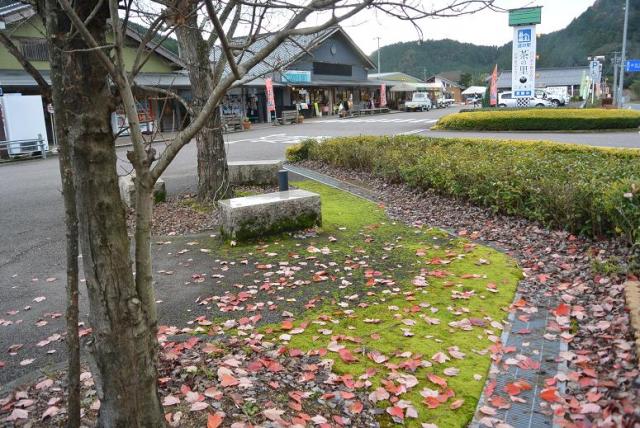 道の駅 茶の里 東白川へのレッツなシニアさんのレビュー写真